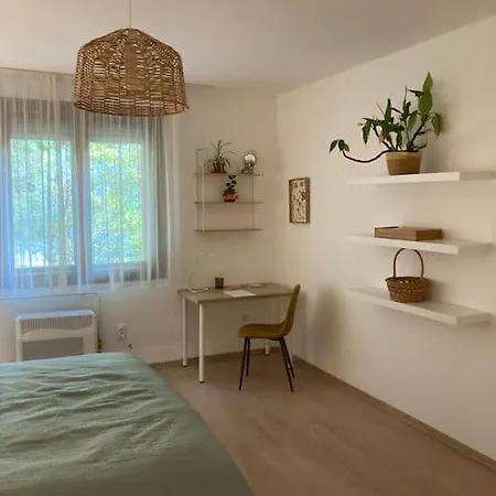 The Park Apartment